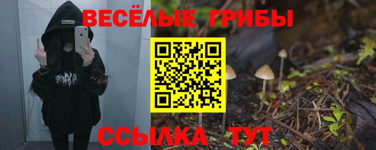 Галлюциногенные грибы прущие грибы  Вход с VPN  Октябрьский 